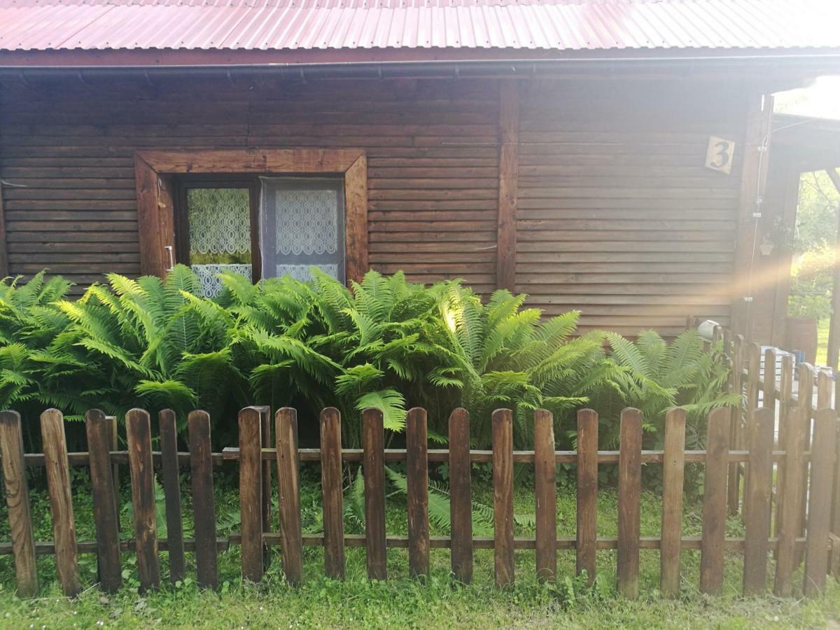 Bieszczadzki Zakatek :-) Villa Skorodne Exteriör bild